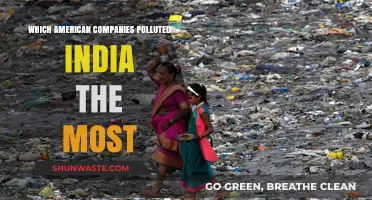 American Corporate Polluters: India's Top Offenders