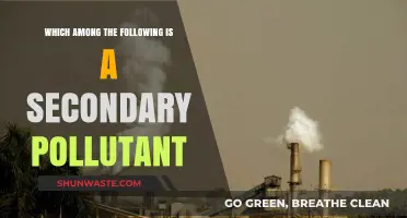 Secondary Pollutants: Understanding the Complex Nature of Air Quality