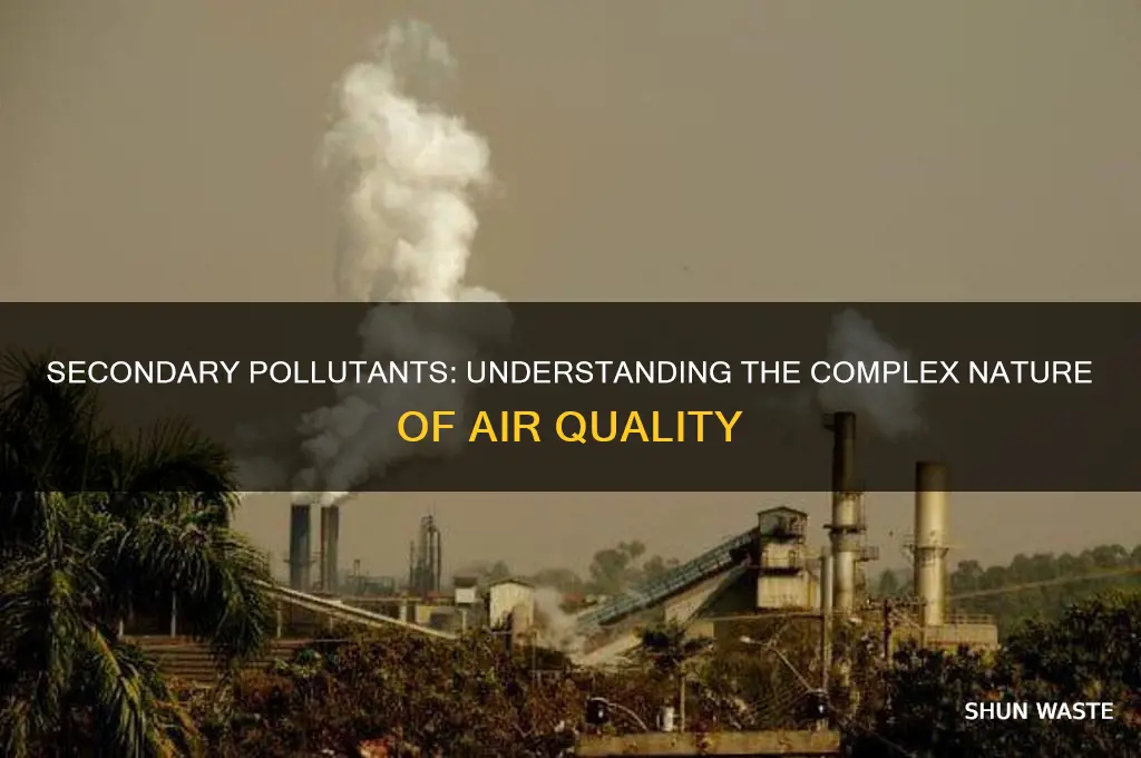 which among the following is a secondary pollutant
