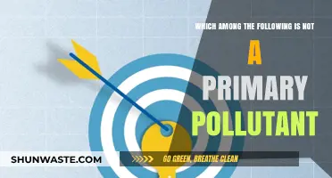 What's Not a Primary Pollutant?
