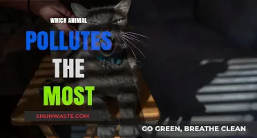 The Worst Animal Polluters and Their Impact