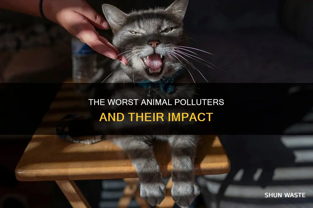 which animal pollutes the most