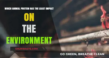 Eco-Friendly Eating: Discover the Most Sustainable Animal Protein Source