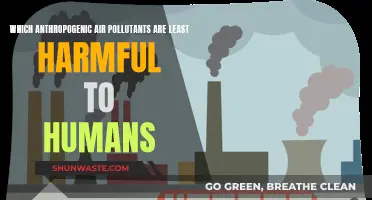 Air Pollutants: Least Harmful to Humans?