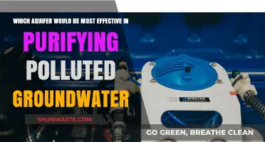 Aquifer Purification: Which Underground Reservoir Cleanses Polluted Water Best?