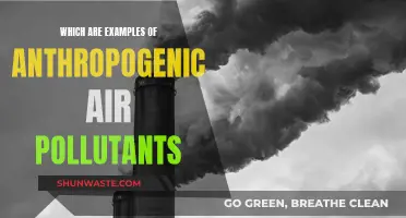 Air Pollutants: Human-Caused Impacts on Our Atmosphere