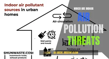 Air Quality Alert: Indoor Pollution Threats Revealed