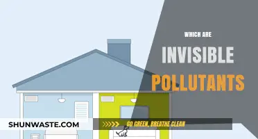 Invisible Pollutants: What's Hiding in Your Home?
