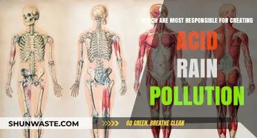 Human Activities Causing Acid Rain