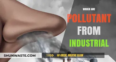 Industrial Pollution: Understanding the Toxic Threats