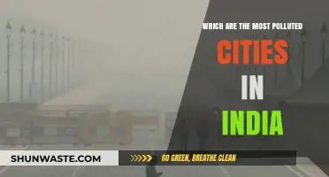 Indian Cities Choking Under Severe Pollution