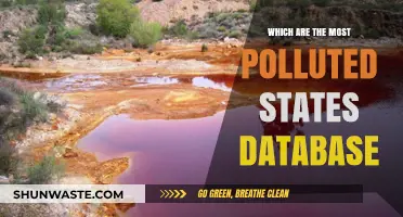 Polluted States: A Comprehensive Database Review