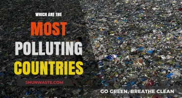 The World's Worst Polluters Revealed