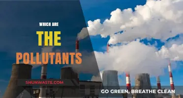 Understanding the Pollutants Around Us