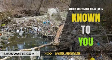 Visible Pollutants: What Can You See?