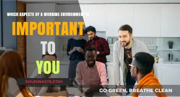Crafting the Ideal Workplace: Key Factors That Matter Most to You