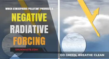 Radiative Forcing: Atmospheric Pollutants and Their Cooling Effects