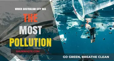 Air Pollution in Australia: Which City Suffers Most?