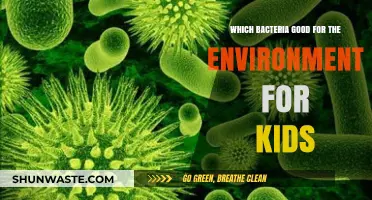 Friendly Bacteria: How Tiny Microbes Help Our Planet Thrive