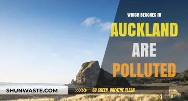 Auckland's Polluted Beaches: Where Not to Swim