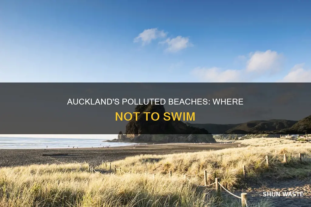which beaches in auckland are polluted