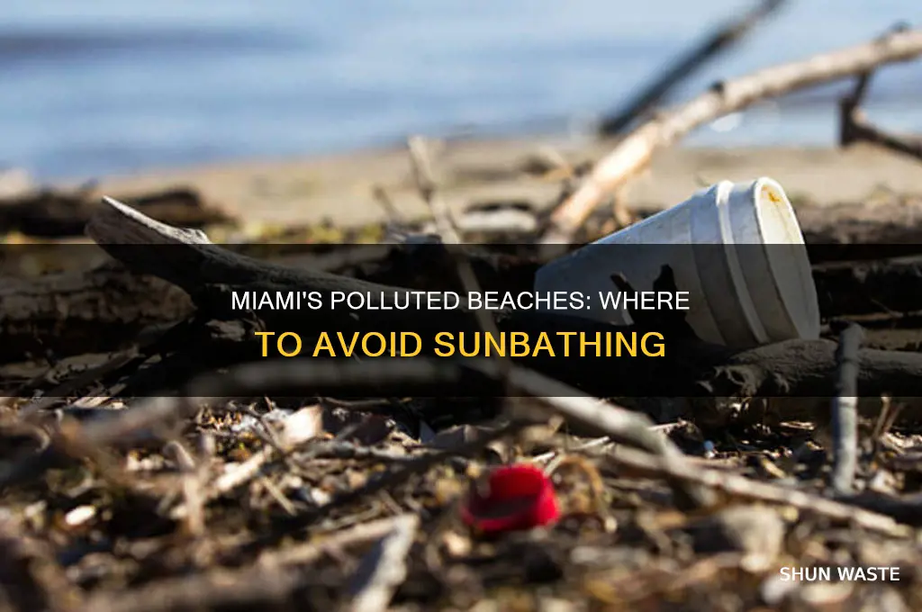 which beaches in miami are most polluted