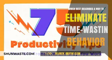 Boost Productivity: Strategies to Eliminate Time-Wasting Behavior