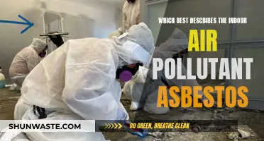 Asbestos: A Silent Indoor Air Pollutant Danger