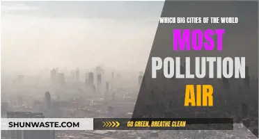 Air Pollution: The World's Most Polluted Cities
