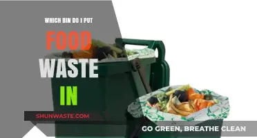 Eco-Friendly Disposal: The Right Bin for Your Food Waste