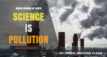 Earth Science: Pollution's Many Branches