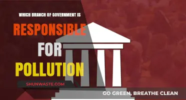 Who's Responsible for Pollution?
