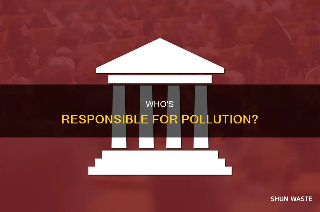 which branch of government is responsible for pollution