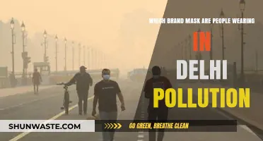 Delhi's Pollution: Which Masks Are Effective?