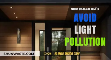 Shield the Night Sky: Choose the Right Bulbs