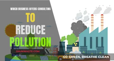 Consulting for Cleaner Business: Pollution Reduction Strategies