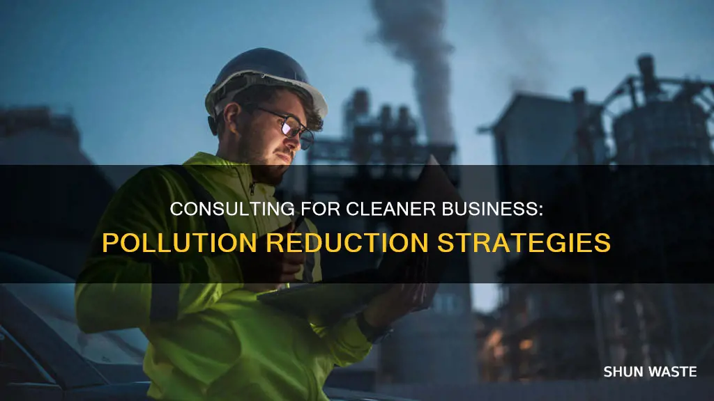 which business offers consulting to reduce pollution