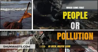 The Evolution of Pollution: A Human Legacy