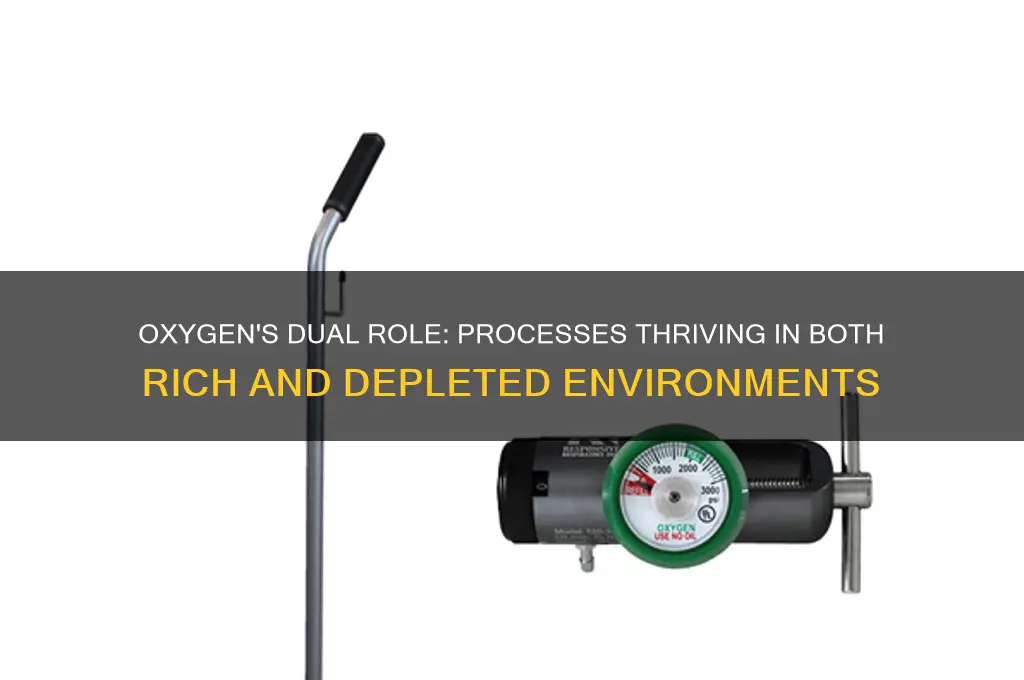 which can occur in an oxygen-dependent or an oxygen-depleted environment