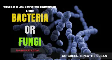 Bacteria vs. Fungi: Which Thrives Better in Hypertonic Conditions?