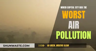 Air Pollution Capitals: Cities Choking Under Smog