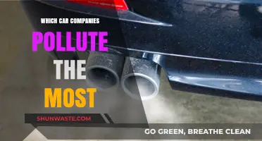 Car Companies: Who Pollutes the Most?