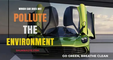 Green Cars: Environmentally-Friendly Vehicles for a Sustainable Future
