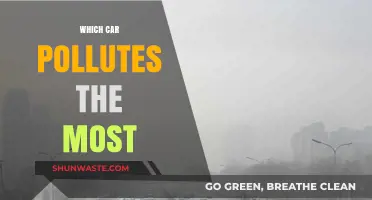 Cars: The Worst Polluters on the Road