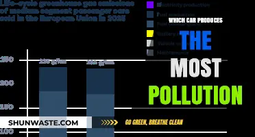 Cars and Pollution: Who's the Worst Offender?