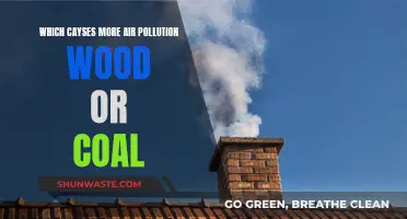 Wood vs Coal: Which Pollutes More?