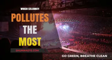 Celebrities Polluting: Who's the Worst Offender?