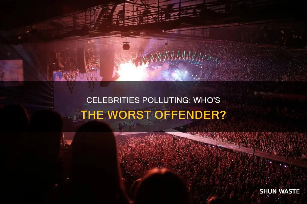 which celebrity pollutes the most