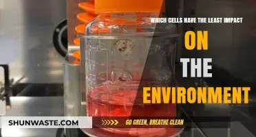 Eco-Friendly Cellular Choices: Minimizing Environmental Impact with Sustainable Cells