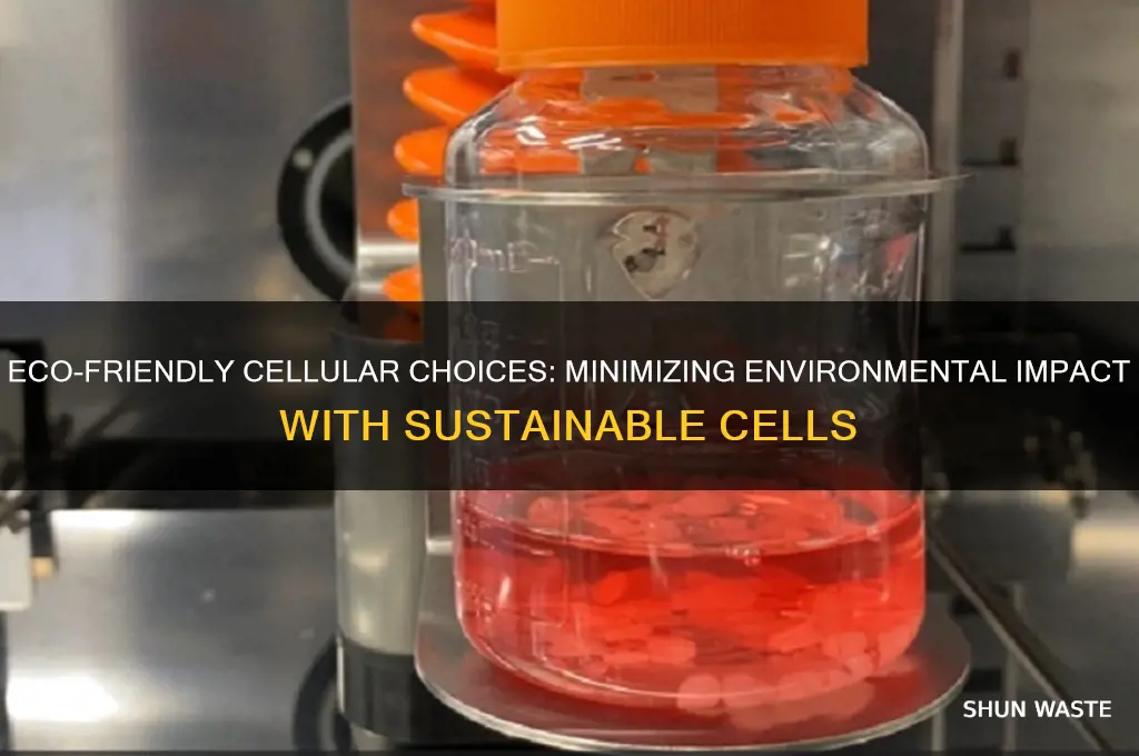 which cells have the least impact on the environment